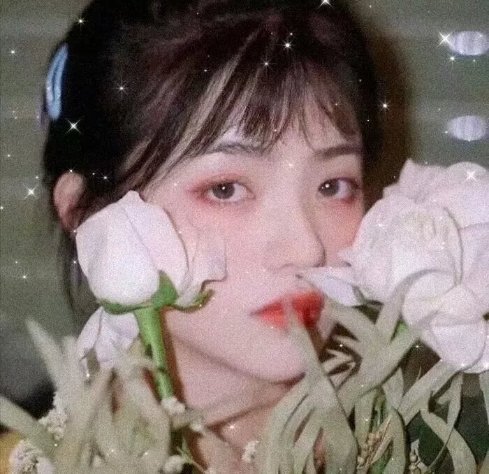 基督山之子